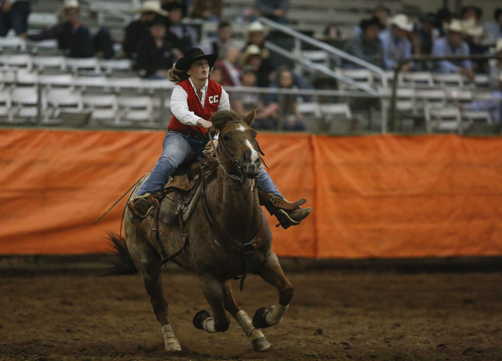 Ropin' and Riggin' Days